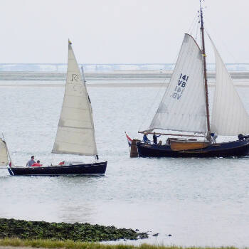 regatta
